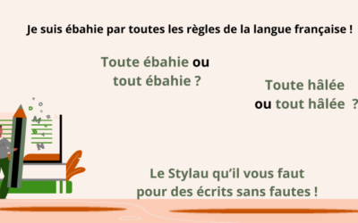 Toute ébahie ou tout ébahie ?